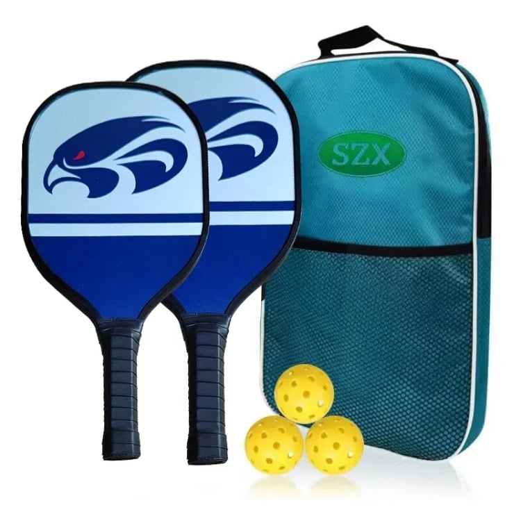 pickleball paddle set